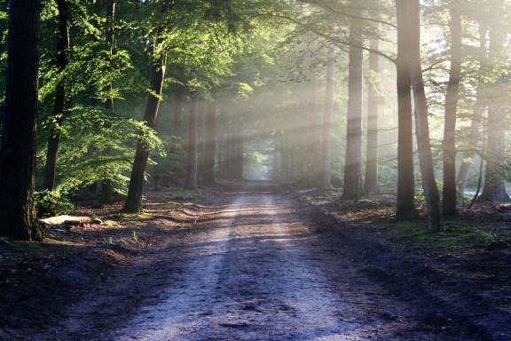 road-sun-rays-path