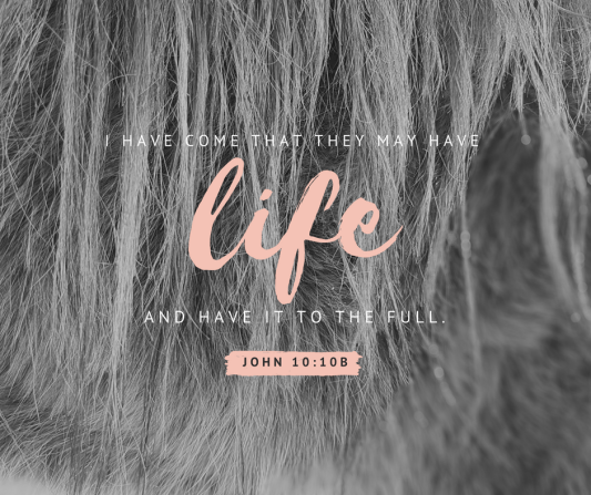 Pink and Charcoal Photo Quote Romance Facebook Post (1)