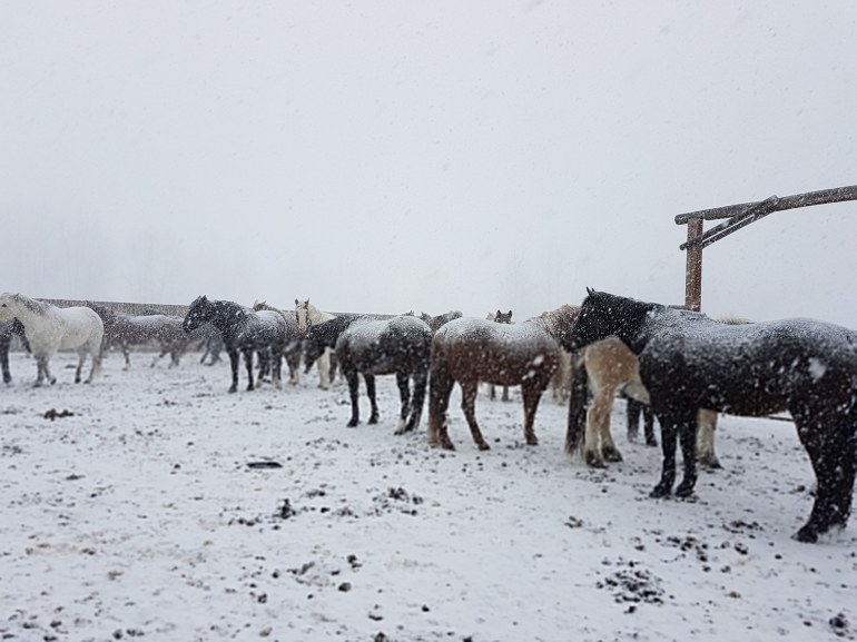 IMG_20180214_145122_453