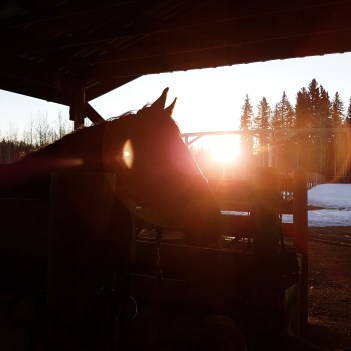 IMG_20180422_070316_228